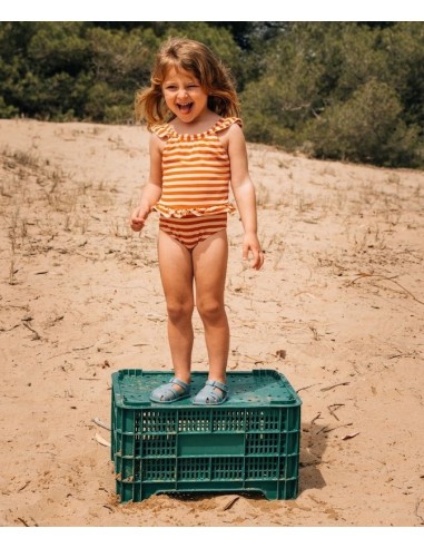 Cangrejera Nemo Solid Igor