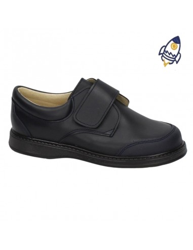 Blucher colegia