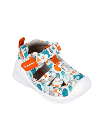 Sandalia Biomecanics